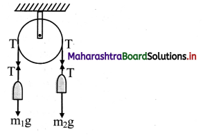 Maharashtra Board Class 11 Physics Important Questions Chapter 4 Laws of Motion 9