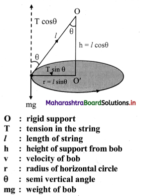 Maharashtra Board Class 11 Physics Solutions Chapter 3 Motion in a Plane 17