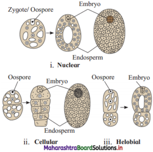 Maharashtra Board Class 12 Biology Important Questions Chapter 1 ...