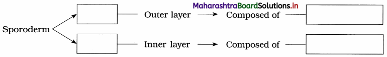 Maharashtra Board Class 12 Biology Important Questions Chapter 1 Reproduction in Lower and Higher Plants 3