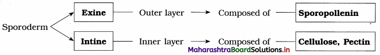 Maharashtra Board Class 12 Biology Important Questions Chapter 1 Reproduction in Lower and Higher Plants 4