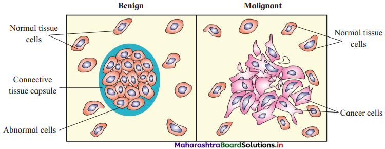 Maharashtra Board Class 12 Biology Important Questions Chapter 10 Human Health and Diseases 15
