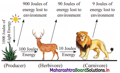 Maharashtra Board Class 12 Biology Important Questions Chapter 14 Ecosystems and Energy Flow 10