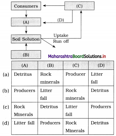 Maharashtra Board Class 12 Biology Important Questions Chapter 14 Ecosystems and Energy Flow 2
