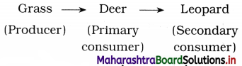 Maharashtra Board Class 12 Biology Important Questions Chapter 14 Ecosystems and Energy Flow 6
