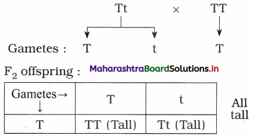 Maharashtra Board Class 12 Biology Important Questions Chapter 3 Inheritance and Variation 3