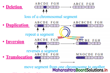 Maharashtra Board Class 12 Biology Important Questions Chapter 5 Origin and Evolution of Life 4