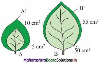 Maharashtra Board Class 12 Biology Important Questions Chapter 7 Plant Growth and Mineral Nutrition 20