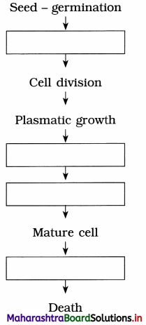 Maharashtra Board Class 12 Biology Important Questions Chapter 7 Plant Growth and Mineral Nutrition 8