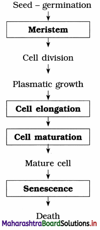 Maharashtra Board Class 12 Biology Important Questions Chapter 7 Plant Growth and Mineral Nutrition 9