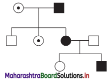 Maharashtra Board Class 12 Biology Solutions Chapter 3 Inheritance and Variation 2
