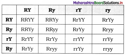 Maharashtra Board Class 12 Biology Solutions Chapter 3 Inheritance and Variation 3