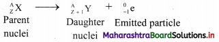 Maharashtra Board Class 11 Chemistry Important Questions Chapter 13 Nuclear Chemistry and Radioactivity 13