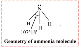 Maharashtra Board Class 11 Chemistry Important Questions Chapter 5 Chemical Bonding 31