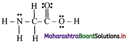 Maharashtra Board Class 11 Chemistry Important Questions Chapter 5 Chemical Bonding 74