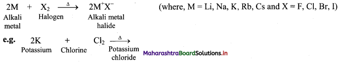 Maharashtra Board Class 11 Chemistry Important Questions Chapter 8 Elements of Group 1 and 2, 19