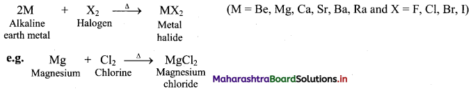 Maharashtra Board Class 11 Chemistry Important Questions Chapter 8 Elements of Group 1 and 2, 23