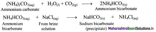 Maharashtra Board Class 11 Chemistry Important Questions Chapter 8 Elements of Group 1 and 2, 34