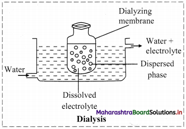 Maharashtra Board Class 11 Chemistry Solutions Chapter 11 Adsorption and Colloids 10