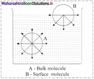 Maharashtra Board Class 11 Chemistry Solutions Chapter 11 Adsorption and Colloids 6