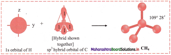 Maharashtra Board Class 11 Chemistry Solutions Chapter 5 Chemical Bonding 13