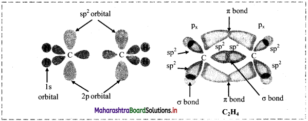 Maharashtra Board Class 11 Chemistry Solutions Chapter 5 Chemical Bonding 2