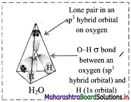 Maharashtra Board Class 11 Chemistry Solutions Chapter 5 Chemical Bonding 7