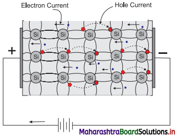 Maharashtra Board Class 11 Physics Important Questions Chapter 14 Semiconductors 10