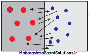 Maharashtra Board Class 11 Physics Important Questions Chapter 14 Semiconductors 17