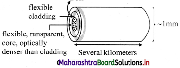 Maharashtra Board Class 11 Physics Solutions Chapter 9 Optics 6