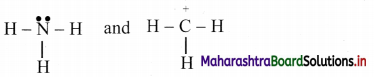 Maharashtra Board Class 11 Chemistry Important Questions Chapter 14 Basic Principles of Organic Chemistry 93