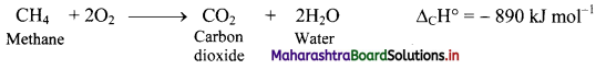 Maharashtra Board Class 11 Chemistry Important Questions Chapter 15 Hydrocarbons 29