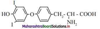 Maharashtra Board Class 11 Chemistry Solutions Chapter 14 Basic Principles of Organic Chemistry 11