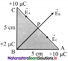 Maharashtra Board Class 11 Physics Important Questions Chapter 10 Electrostatics 20