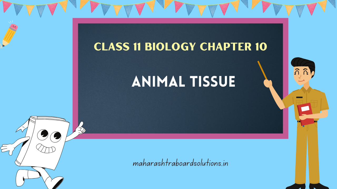 Class 11 Biology Chapter 10