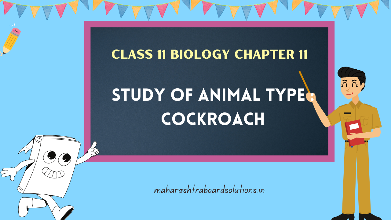 Class 11 Biology Chapter 11