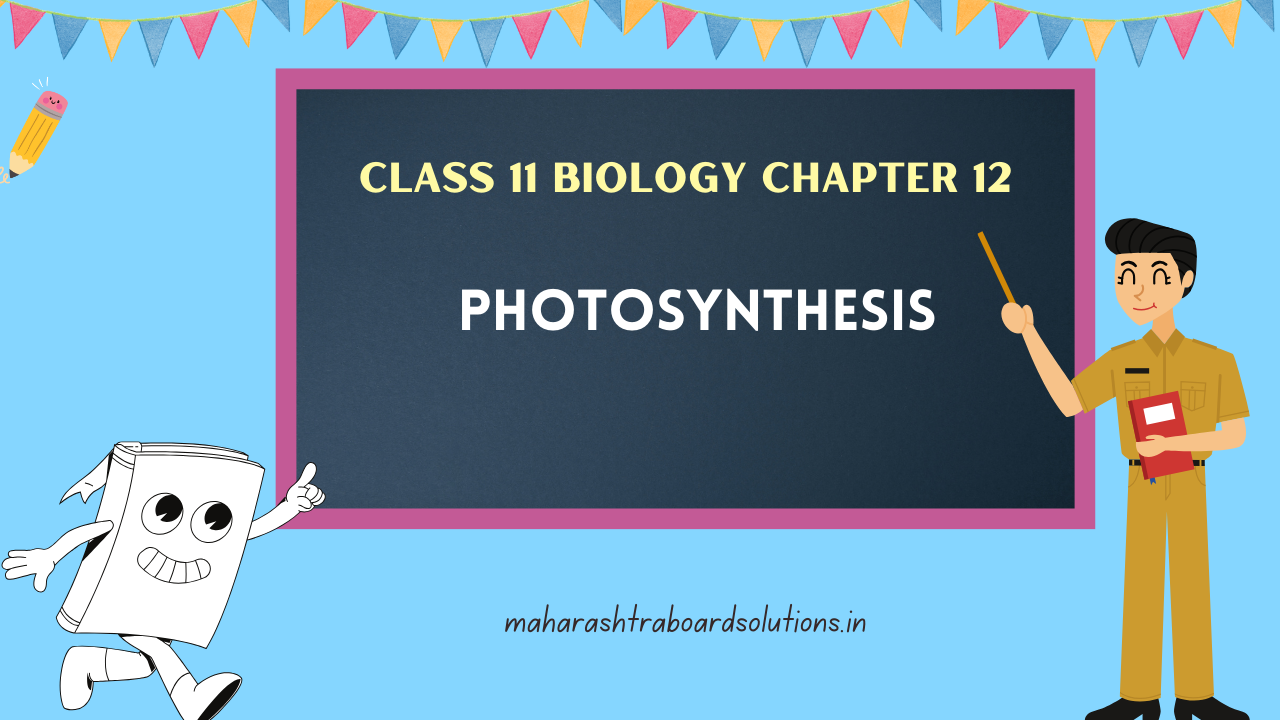 Class 11 Biology Chapter 12