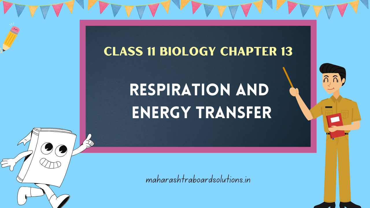 Class 11 Biology Chapter 13