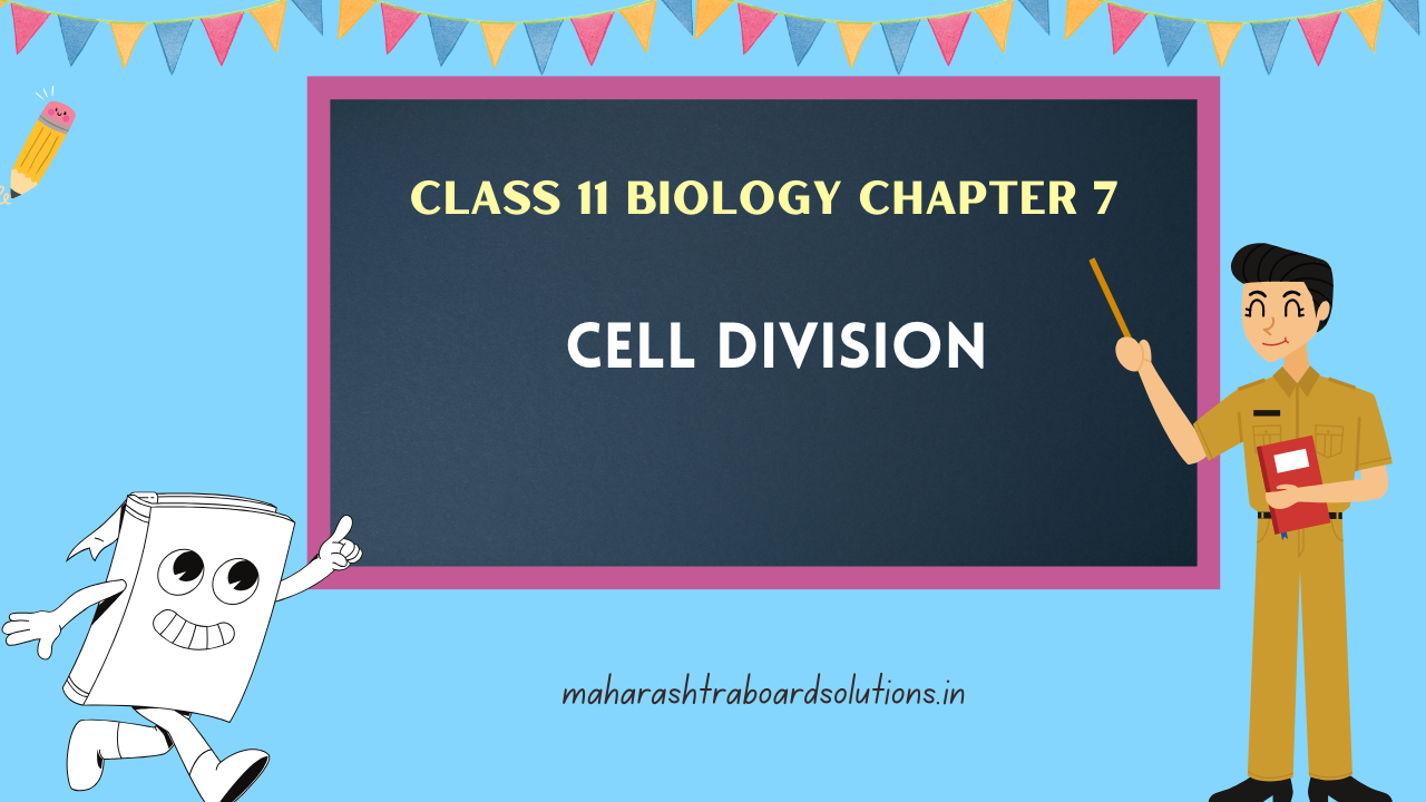 Class 11 Biology Chapter 7