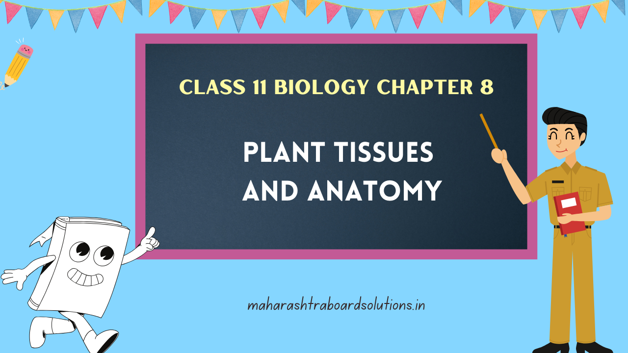 Class 11 Biology Chapter 8