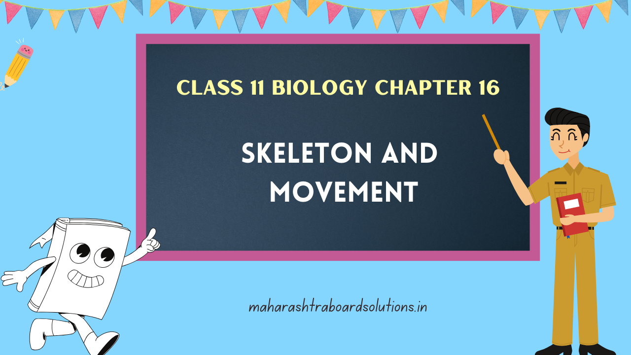 Class 11 Biology Chapter 16