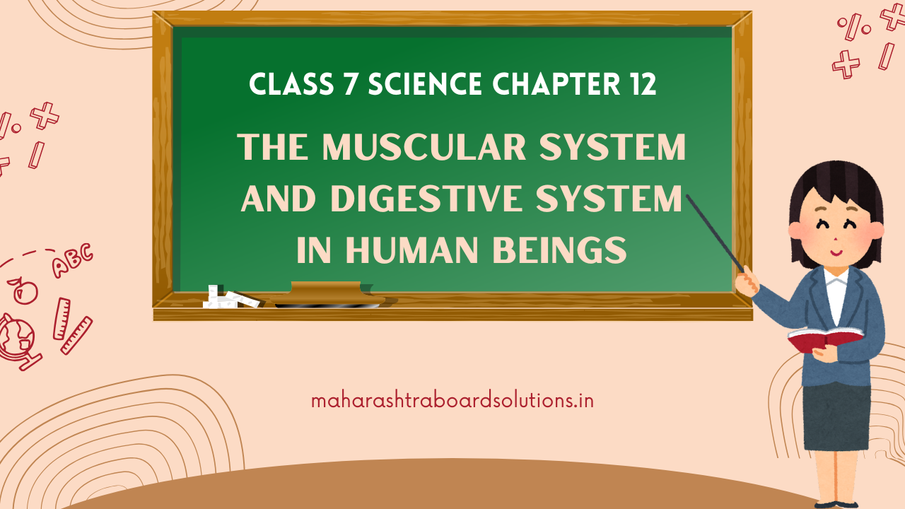 Class 7 Science Chapter 12