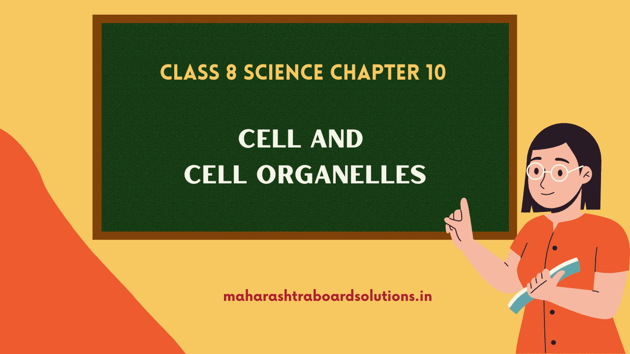 Class 8 Science Chapter 10